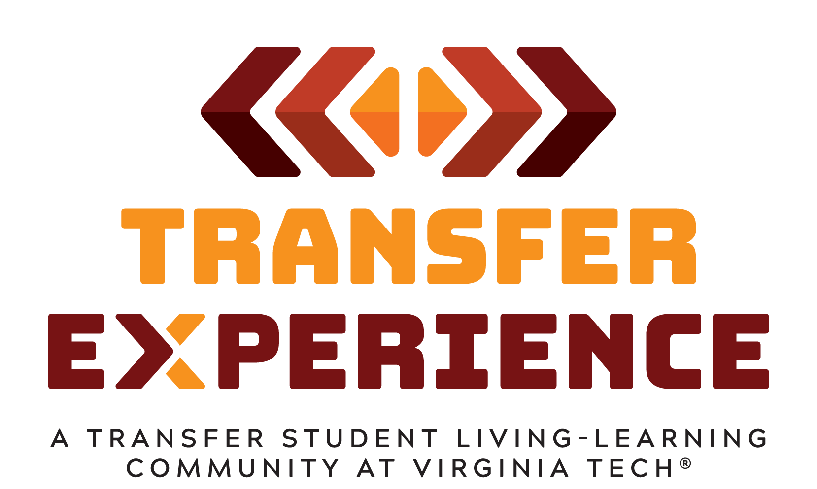 Transfer Experience LLC logo